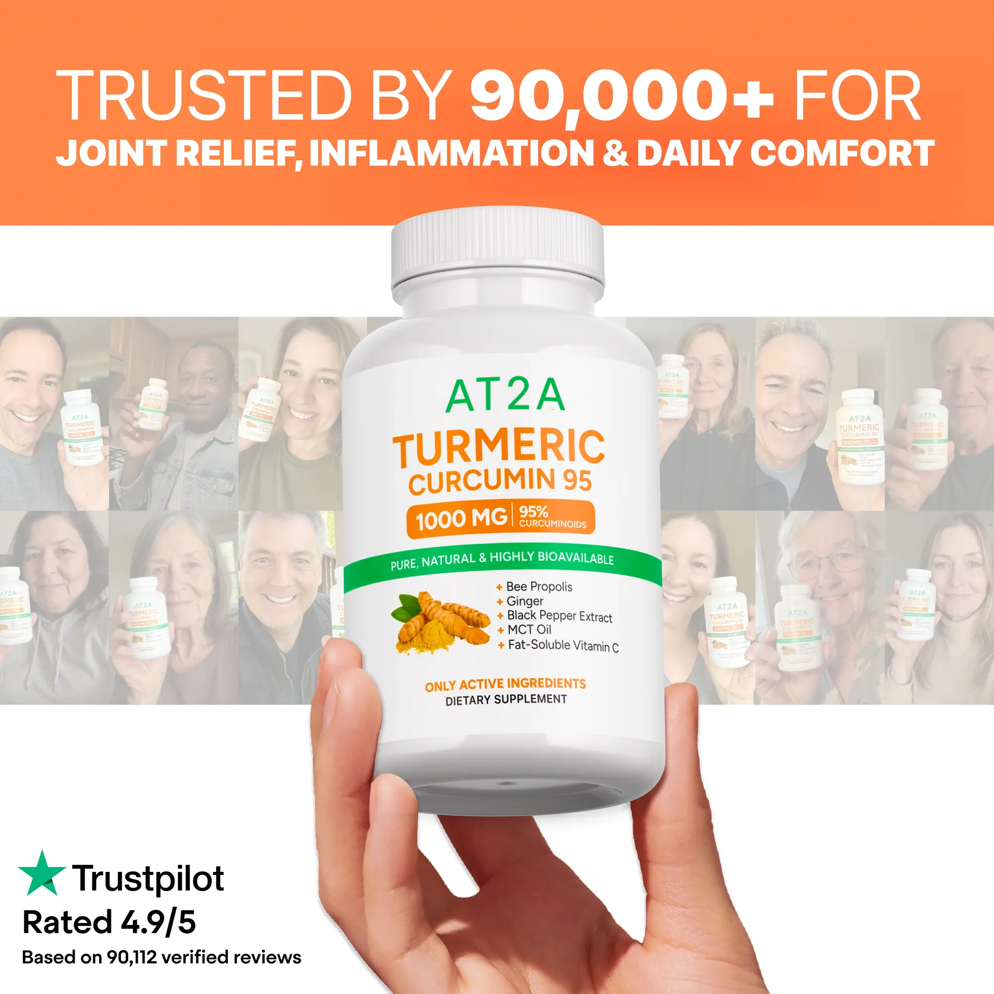 AT2A Turmeric Curcumin 95