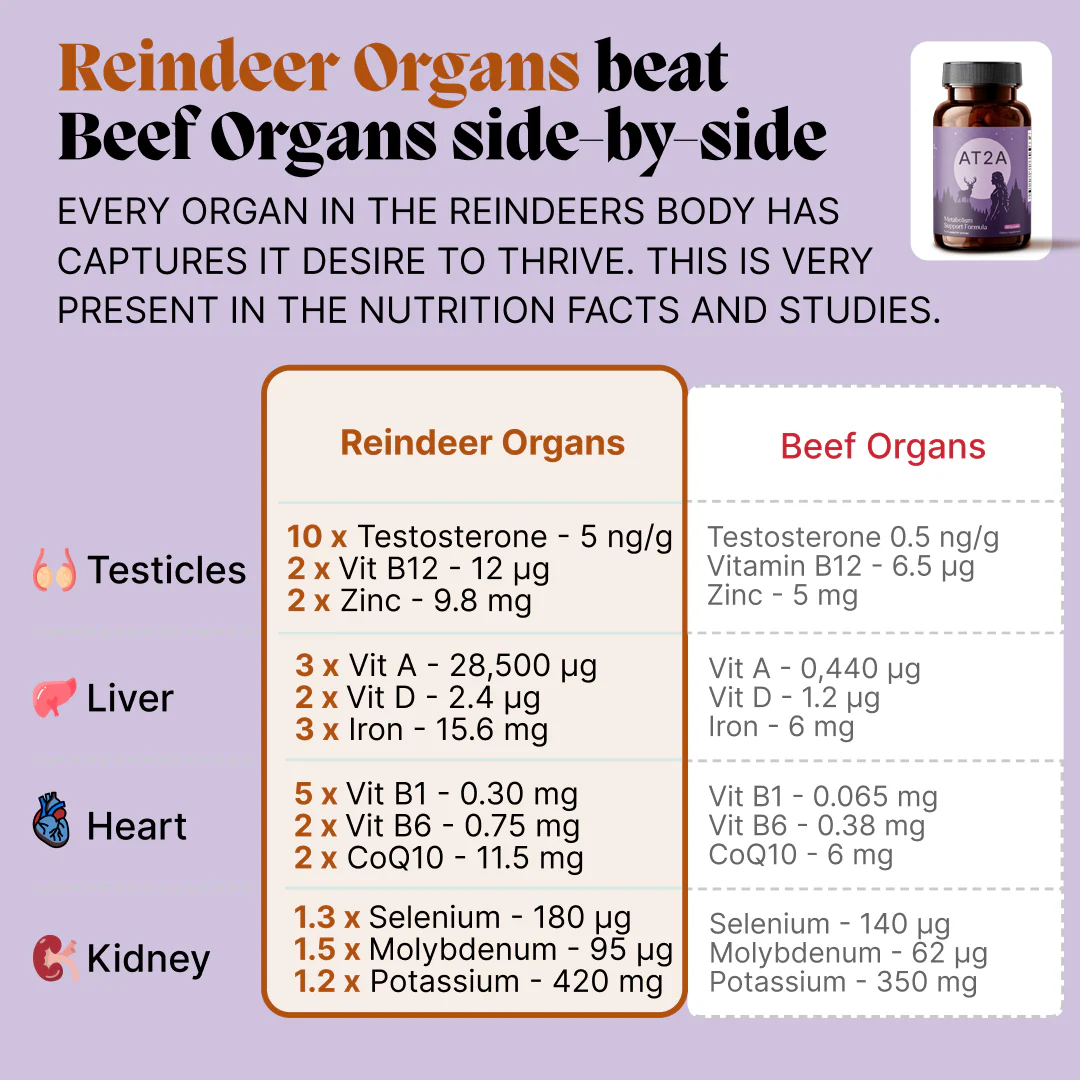 AT2A Metabolism Support Formula
