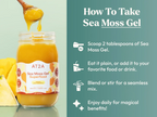 AT2A Sea Moss Gel Superfood