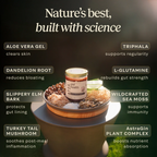 AT2A Daily Gut Support — Clinically Proven with AstraGin
