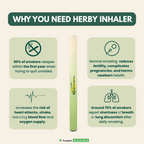 AT2A Herbal LungVital
