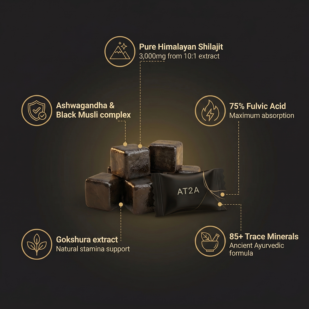 AT2A Himalayan Shilajit Gummies