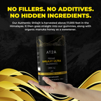 AT2A PRIME SHILAJIT ULTRA GUMMIES