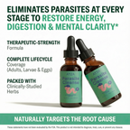 AT2A Black Walnut Wormwood Clove Parasite Cleanse
